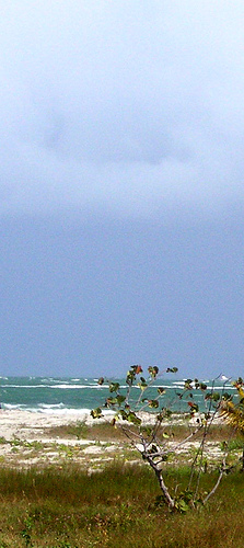 Cuba 2007 - CubaLee photo 48: Varadero Stormy Day 1.
